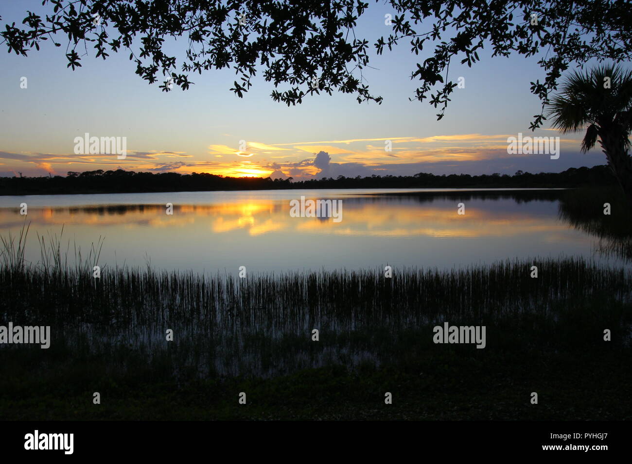 George Pierce Park High Resolution Stock Photography and Images - Alamy