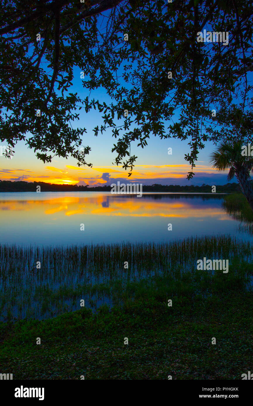 George pierce park hi-res stock photography and images - Alamy