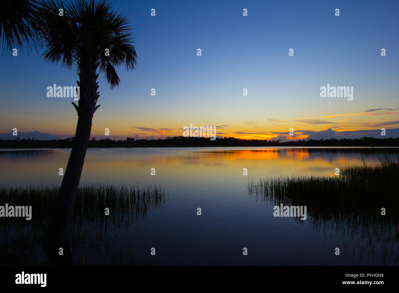 George Pierce Park High Resolution Stock Photography and Images - Alamy