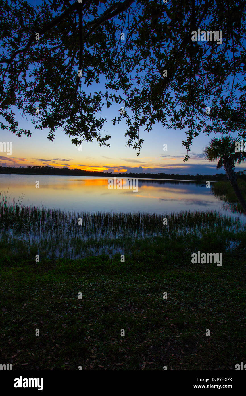 George Pierce Park High Resolution Stock Photography and Images - Alamy