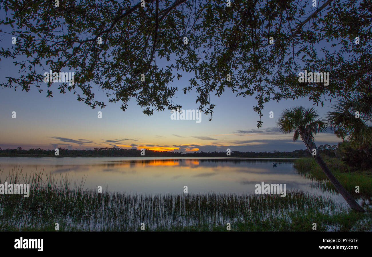 George Pierce Park High Resolution Stock Photography and Images - Alamy
