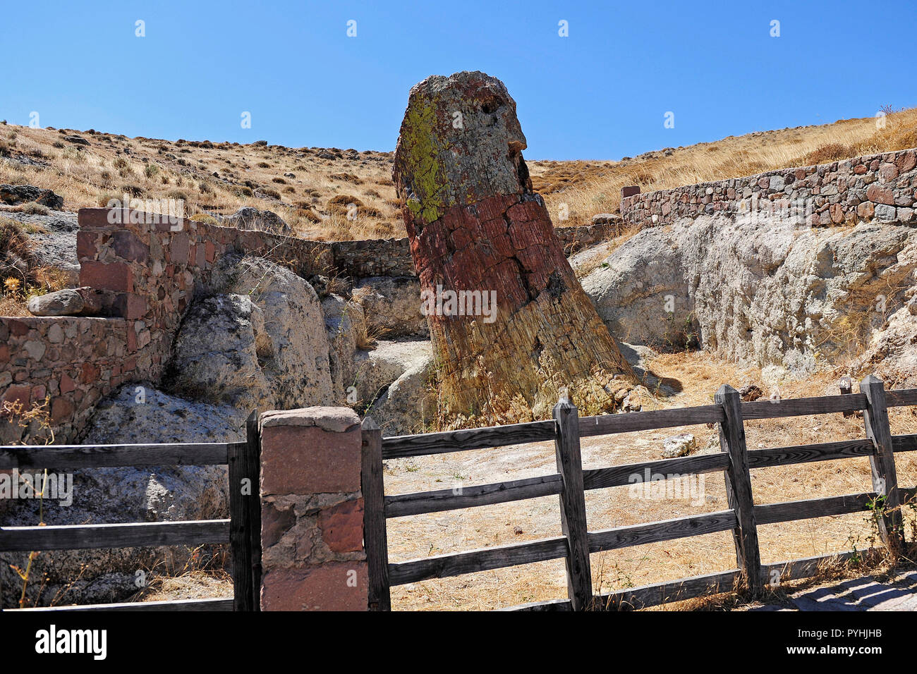 Greece, Lesbos petrified forest in the west of the island Stock Photo