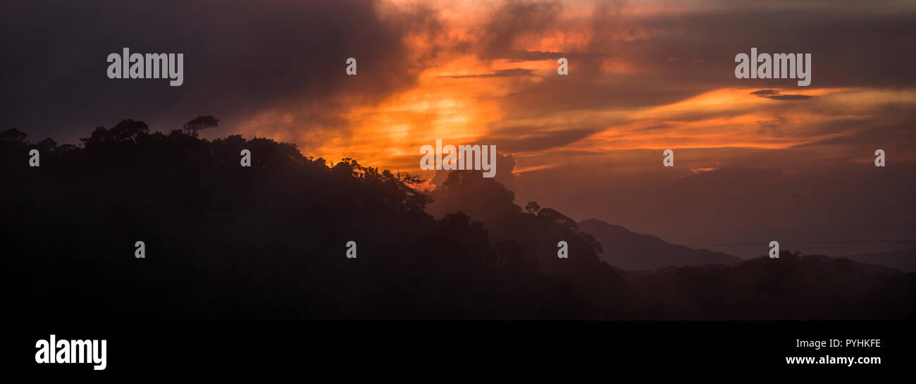 Sunrise over the cloud forest in the tropics Stock Photo