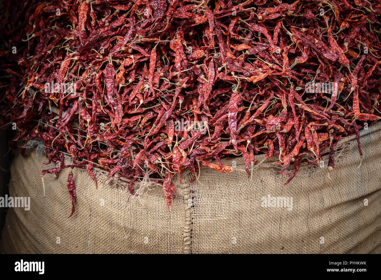 Sack of red hot chili peppers from BIkaner, Rajasthan, India Stock