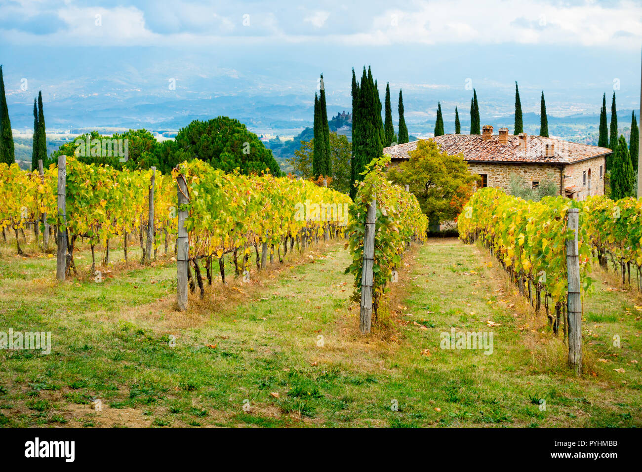 Vineyard and farm in Chianti overlooking Montaio and Valdarno in autumn, Tuscany, Italy Stock Photo