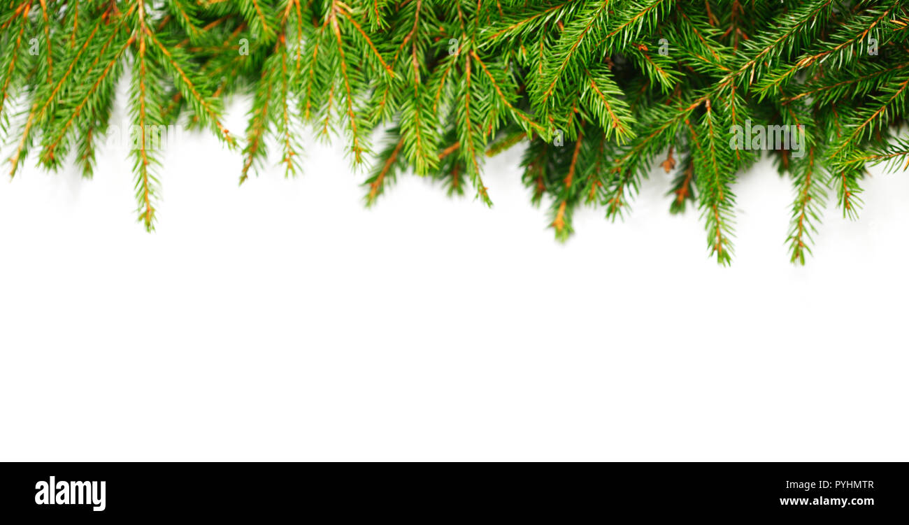 Christmas tree fir frame isolated on white background Stock Photo - Alamy