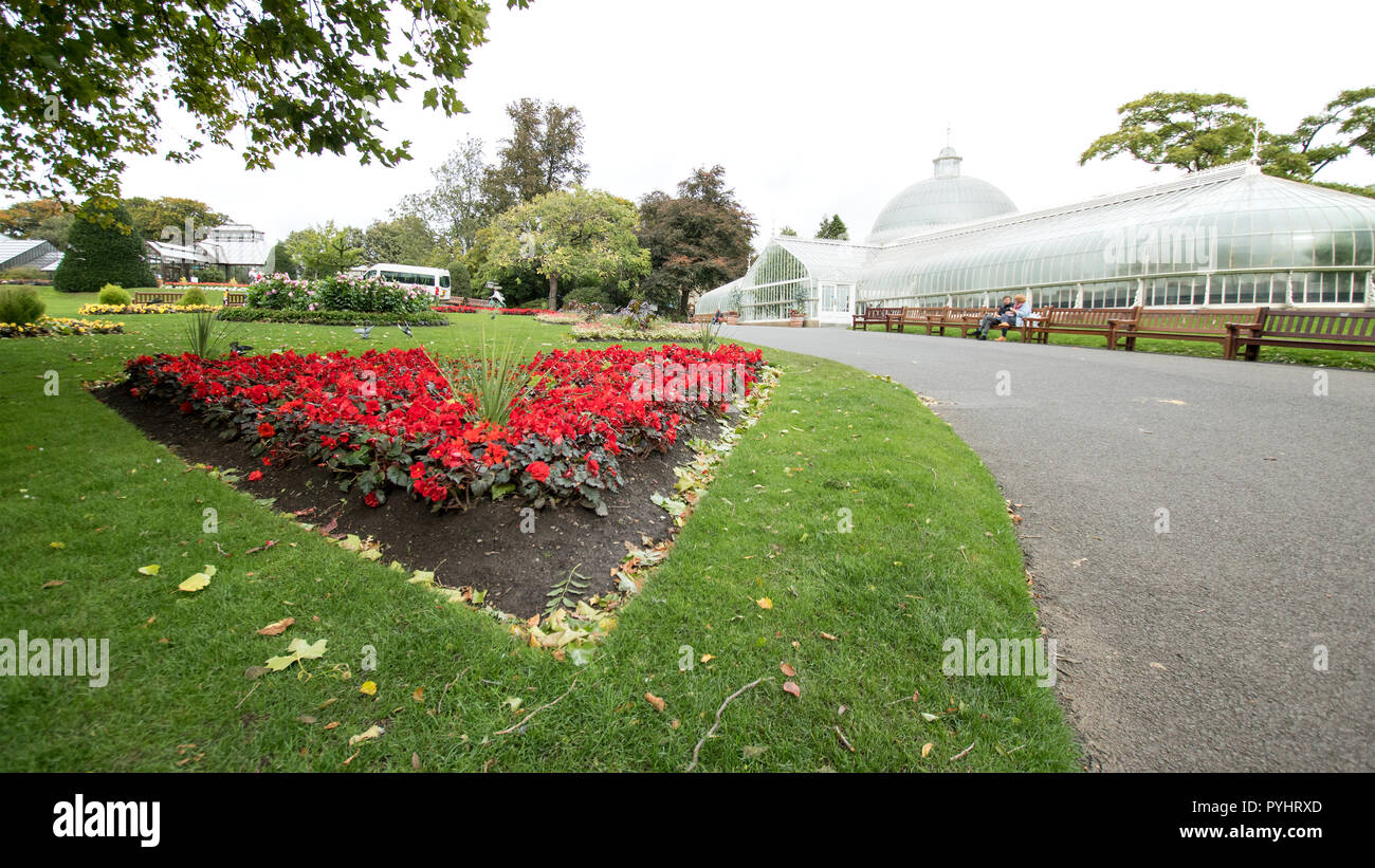 Summertime floral display opposite the Kibble Palace, Botanic Gardens