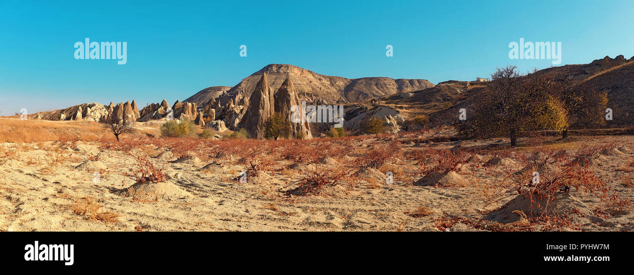 Beautiful autumn landscapes of volcanic rocks and vineyards in Pasabag valley, near Zelve, Cappadocia, Anatolia, Turkey. Panoramic view. Stock Photo