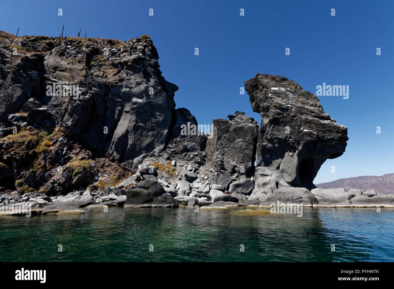 Isla Coronado - snorkel, sea lions and swimming Stock Photo