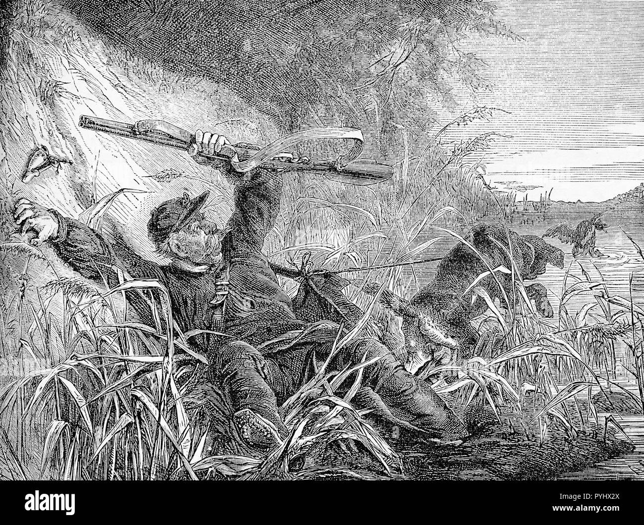 Caricature and fun, unfortunate hunt, vintage humor: the hunter falls and loses his prey Stock Photo