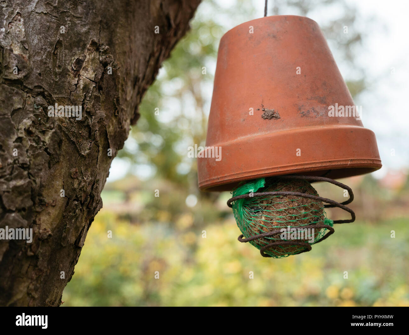 Bird Feeder Home Made Stock Photos Bird Feeder Home Made Stock