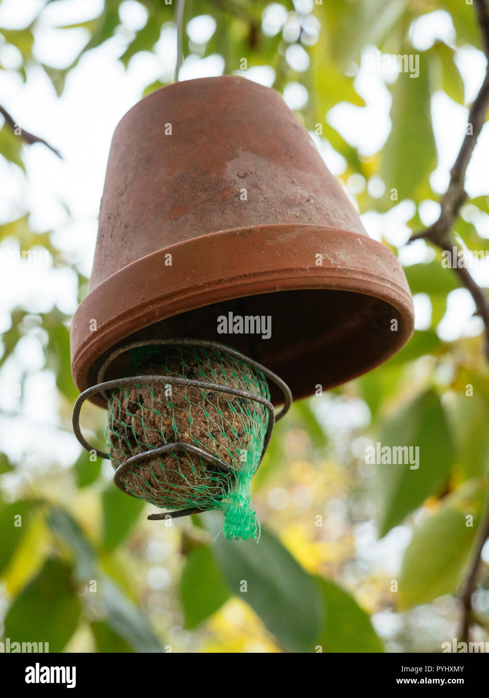 Bird Feeder Home Made Stock Photos Bird Feeder Home Made Stock