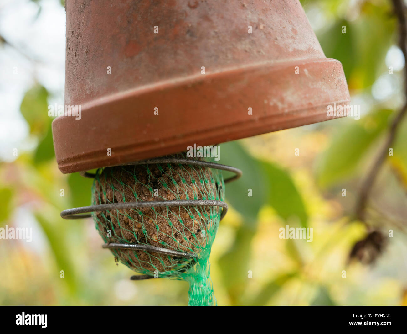 Bird Feeder Home Made Stock Photos Bird Feeder Home Made Stock