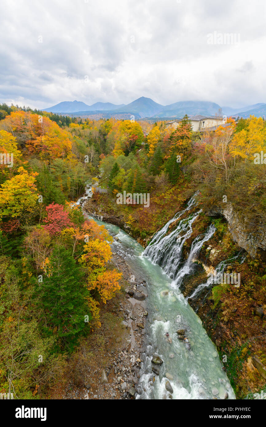 Beautiful Shirahige Waterfall and colorful tree in autumn, Biei