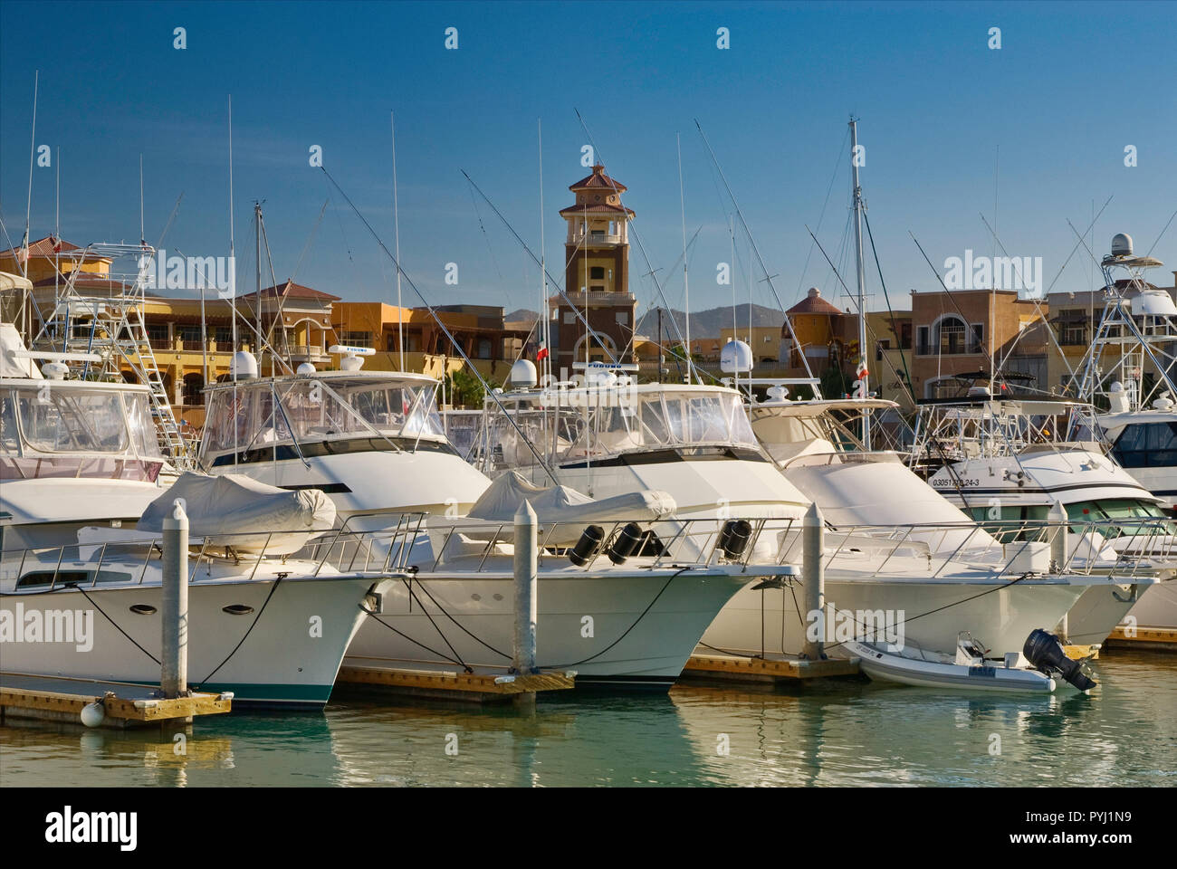 Yachts at marina seen from Malecon in Cabo San Lucas, Baja California Sur, Mexico Stock Photo