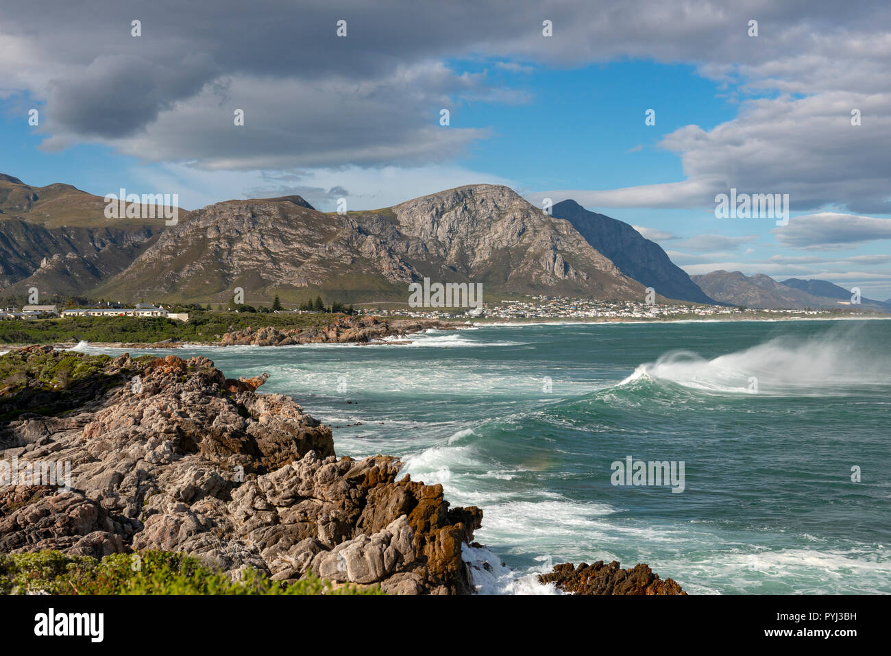 Hermanus, Western Cape, South Africa Stock Photo - Alamy