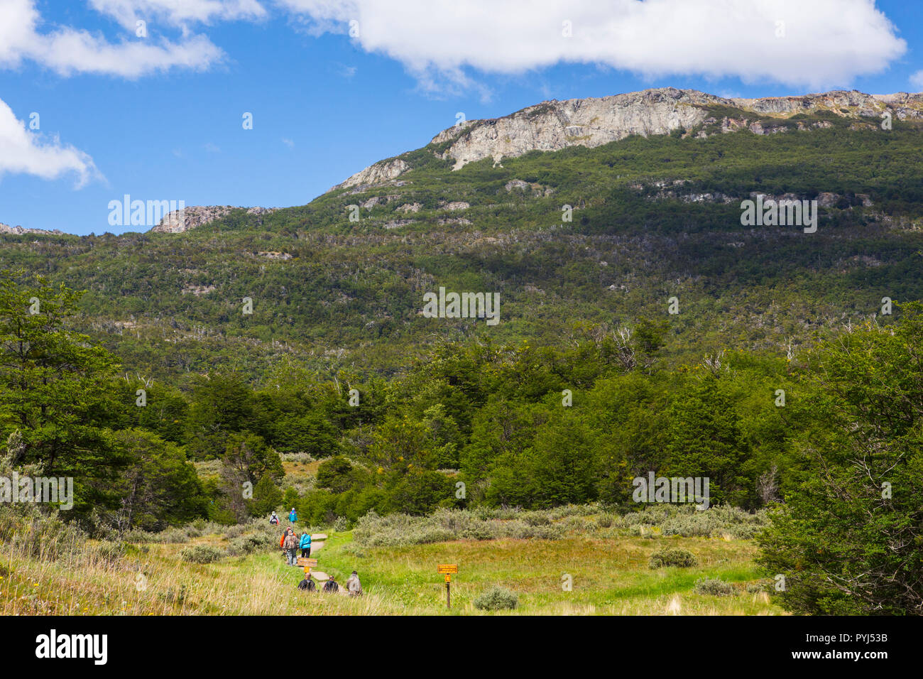 Tierra del Fuego National Park, Ushuaia, Argentina. Stock Photo