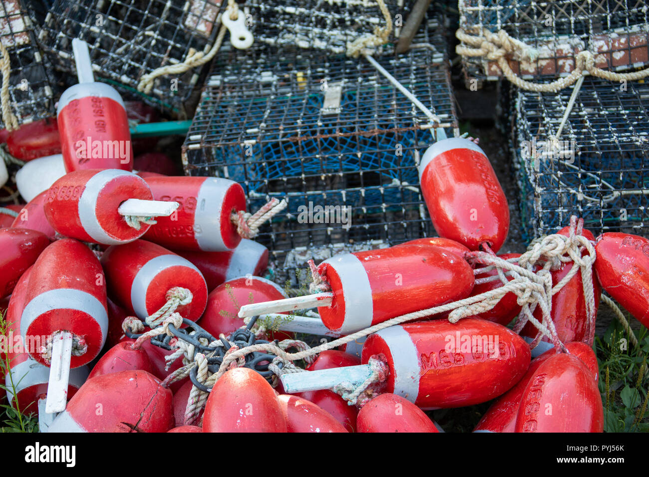 Lobster cage bouys, Southwest Harbor, Maine, USA Stock Photo Alamy