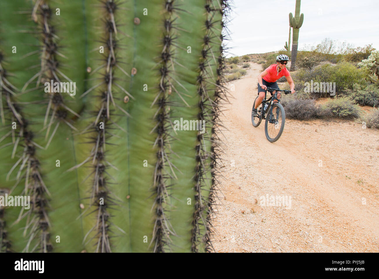 Mountain Biking, McDowell Mountain Regional Park, Near Fountain Hills