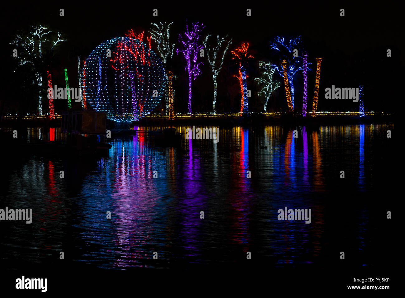 Phoenix Zoo Holiday Light show, Phoenix, Arizona Stock Photo Alamy