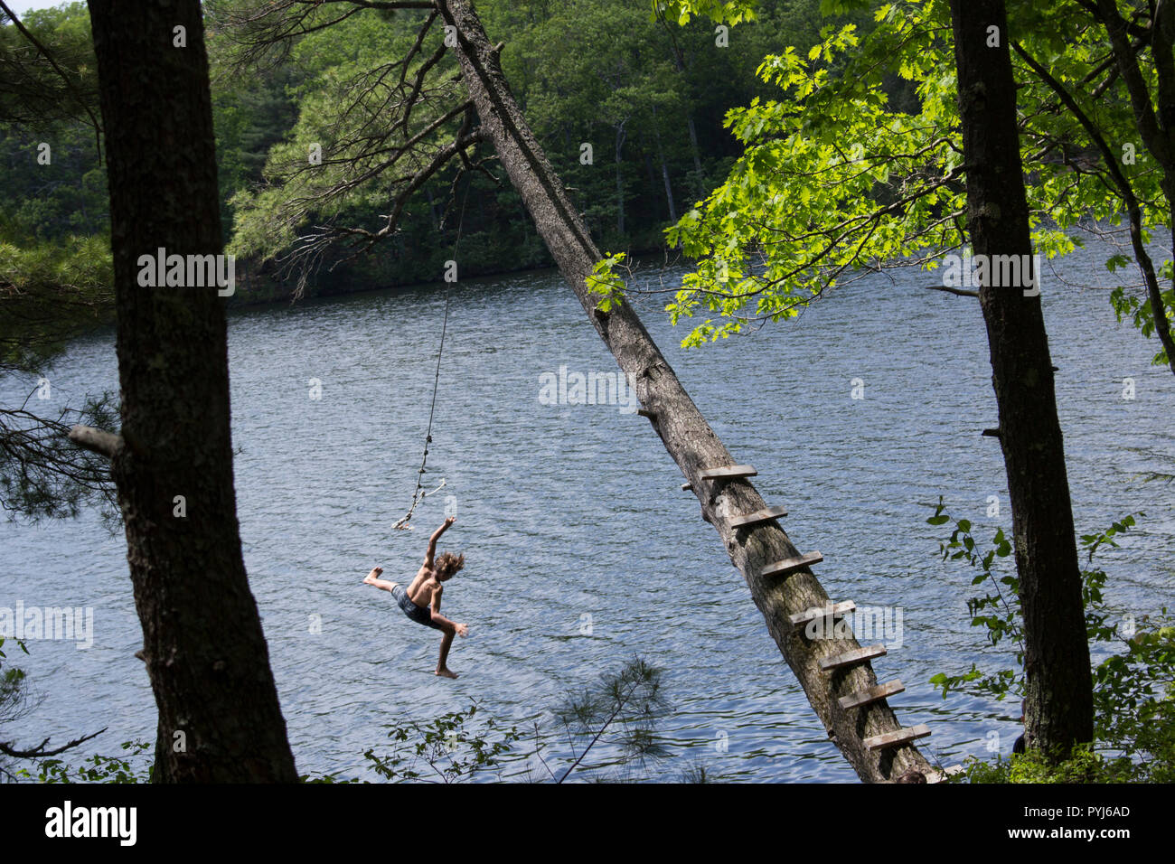 Swinging on a rope swing, on a hot summer's day. Stock Photo