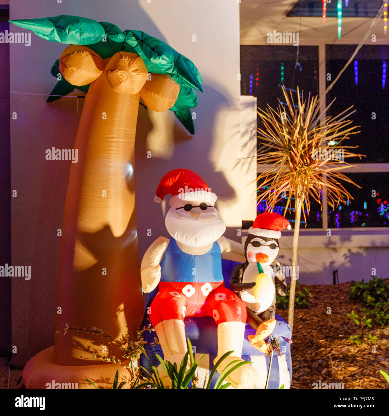 Inflatable Santa Clause and penguin under palm tree at CHRISTMAS LIGHTS festival in Queensland, Australia. Australian suburbs. Stock Photo