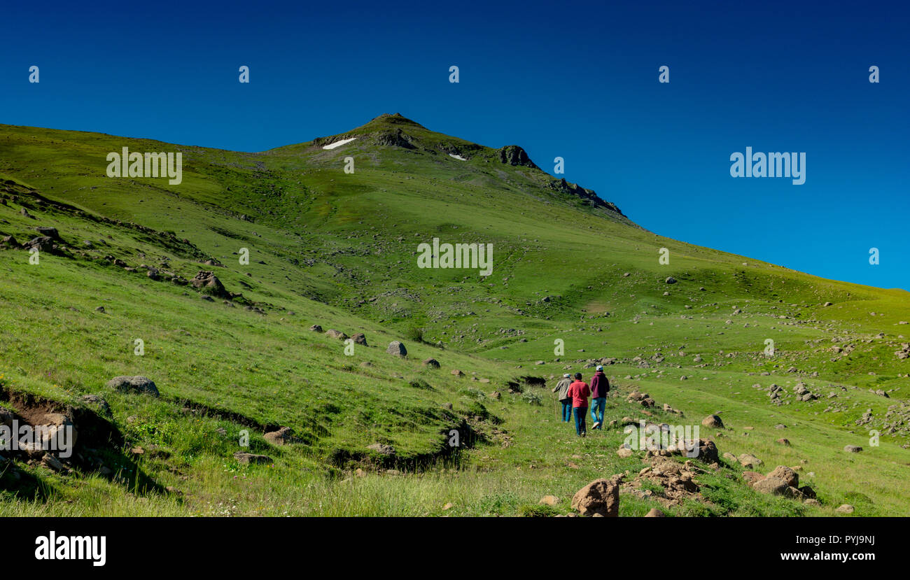 Boy traveler trekking poles hi-res stock photography and images - Alamy