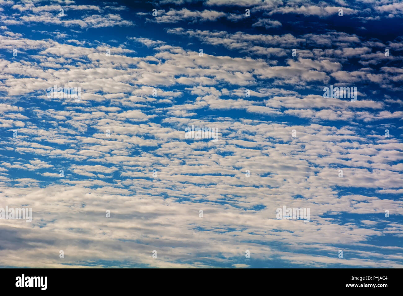 The blue cloudy sky on bright natural background Stock Photo - Alamy