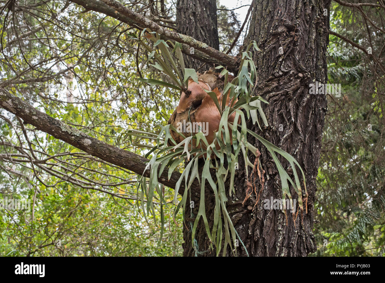 Horn island australia hires stock photography and images Alamy