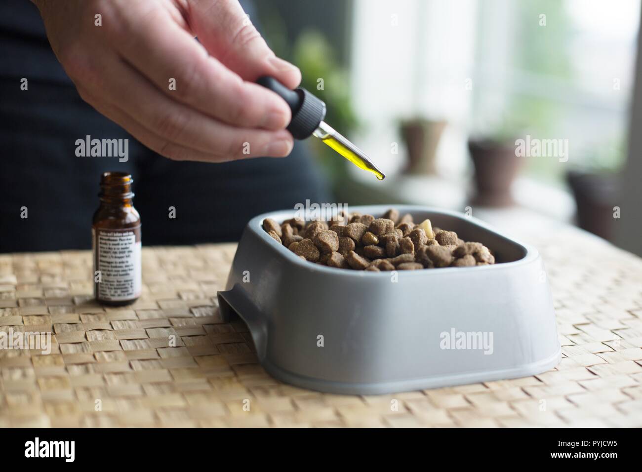 Adding Oil To Dog Food Clearance laseb.fae.ufmg.br