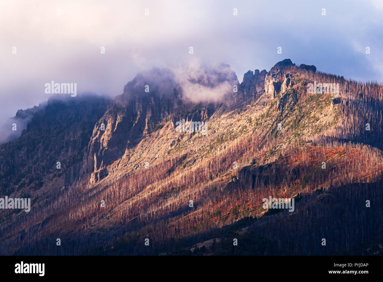 Tom miner basin montana hires stock photography and images Alamy