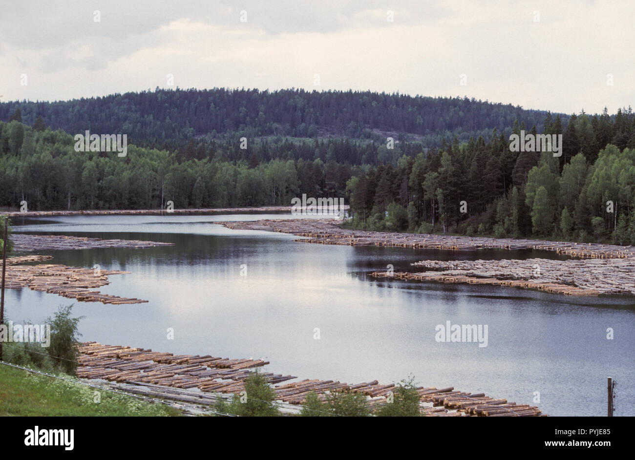 FLOATING OF TIMBER in Värmland Stock Photo
