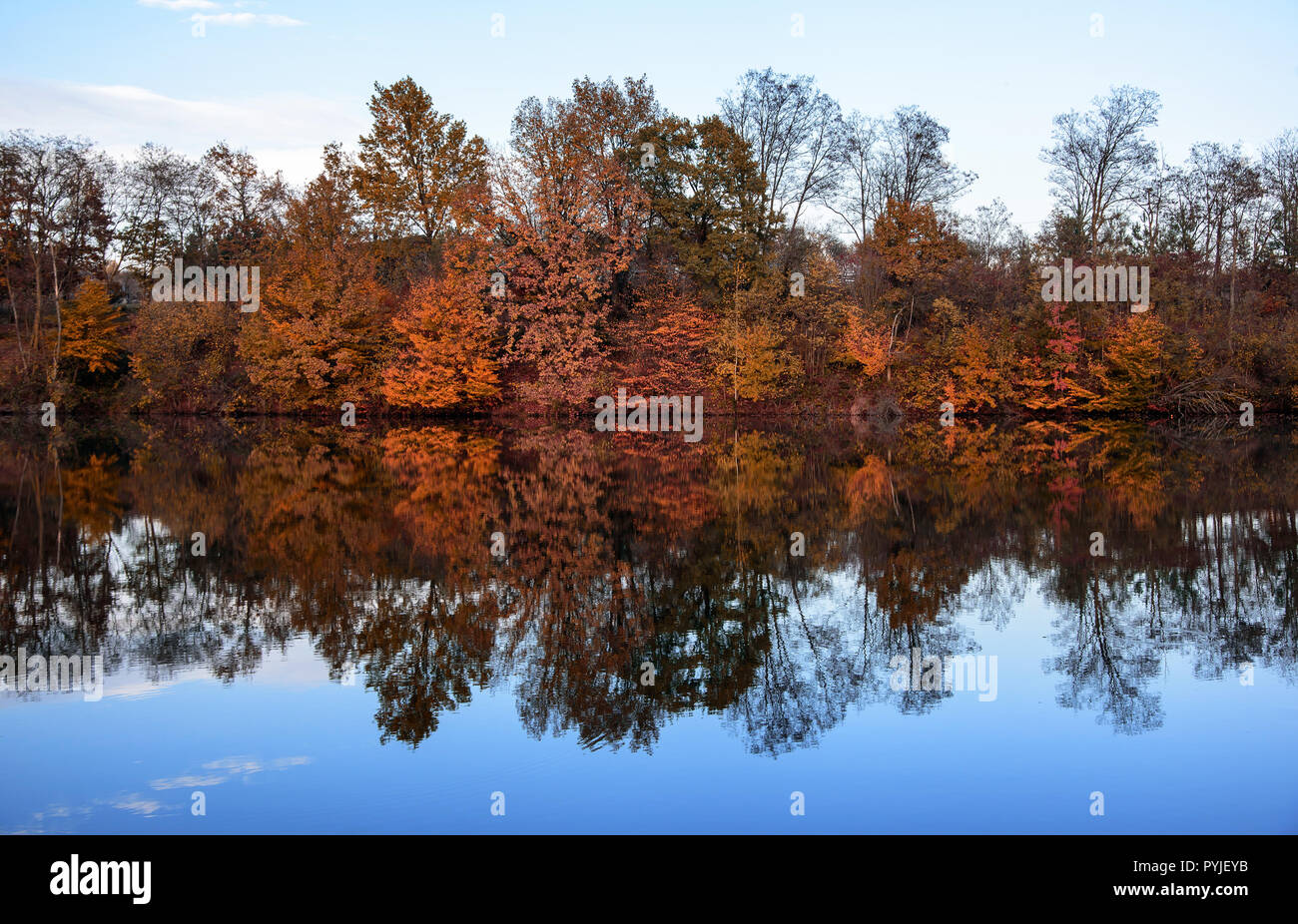 Autumn landscape with lake in the forest. Autumn forest Stock Photo - Alamy