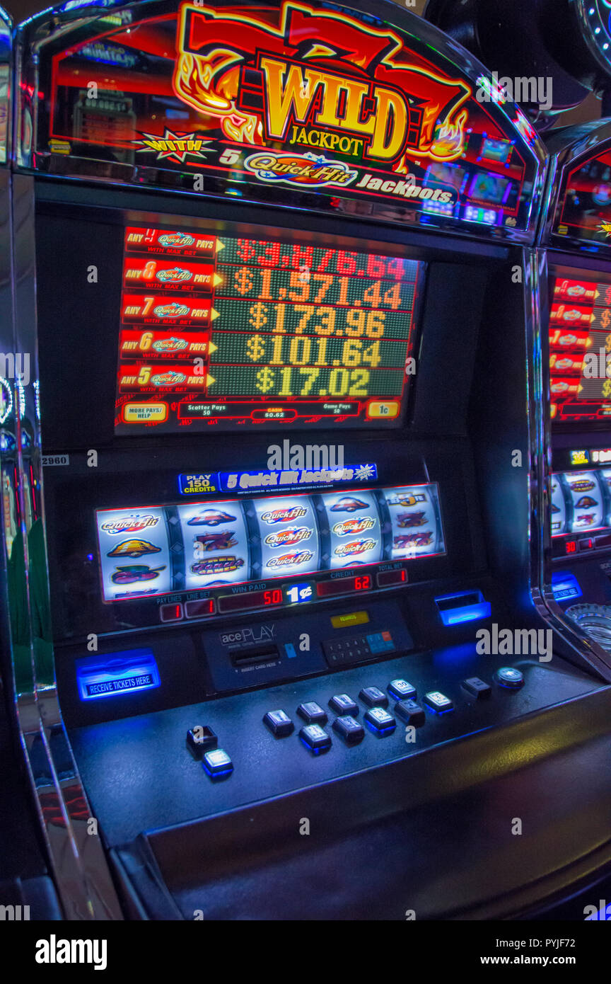 wild jackpots casino