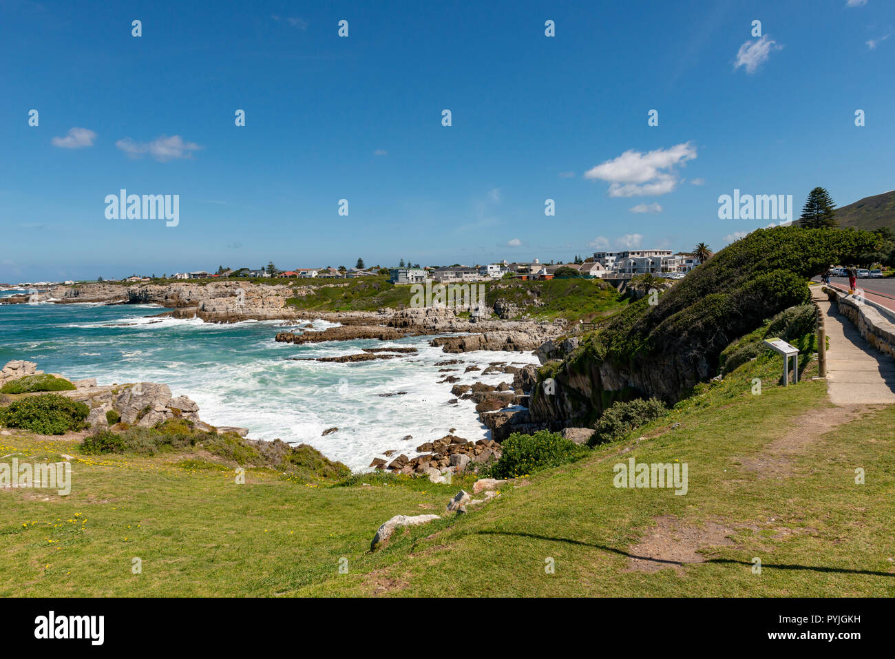 Whale Watching in Hermanus, South Africa Stock Photo Alamy Whale Watching in Hermanus, South Africa Stock Photo Alamy