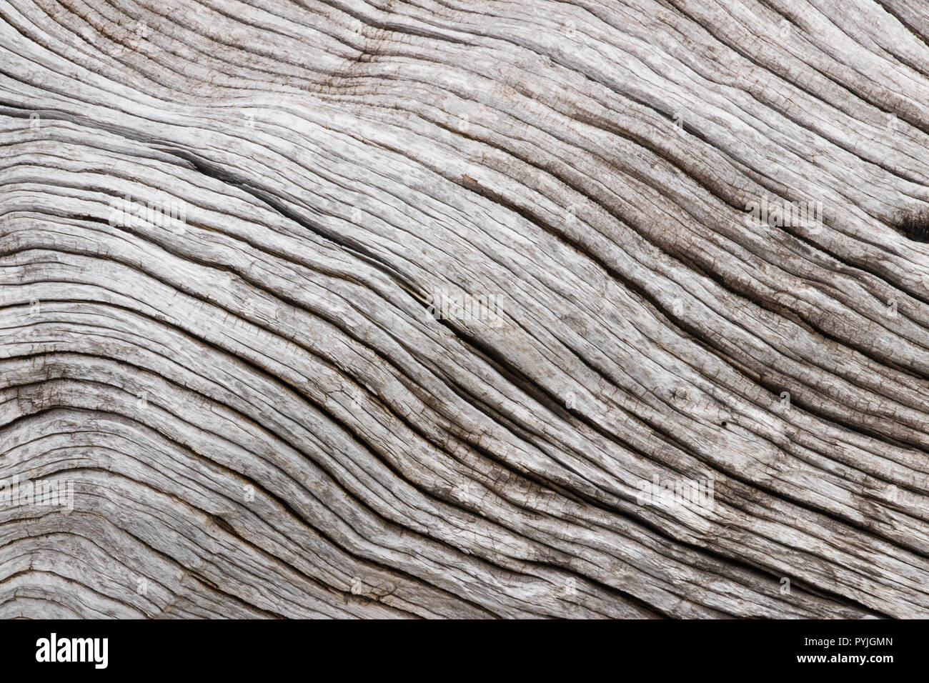 Photo inspiration: Grey Textured Pine Wood Reference: Pine Wood Texture Hi Res Stock Photography And Images