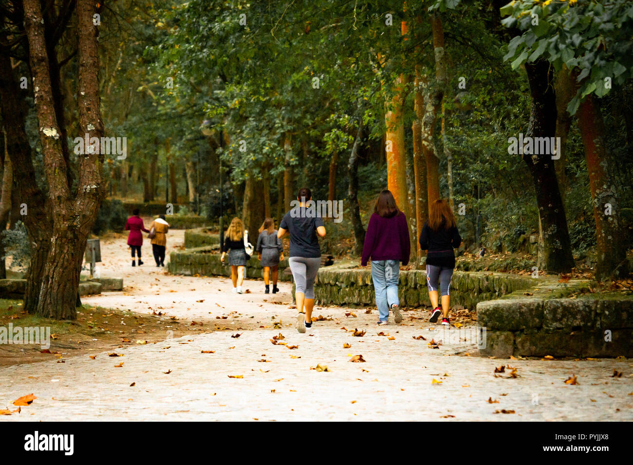 Back view of various people walking the park with a female runner passing by. Stock Photo