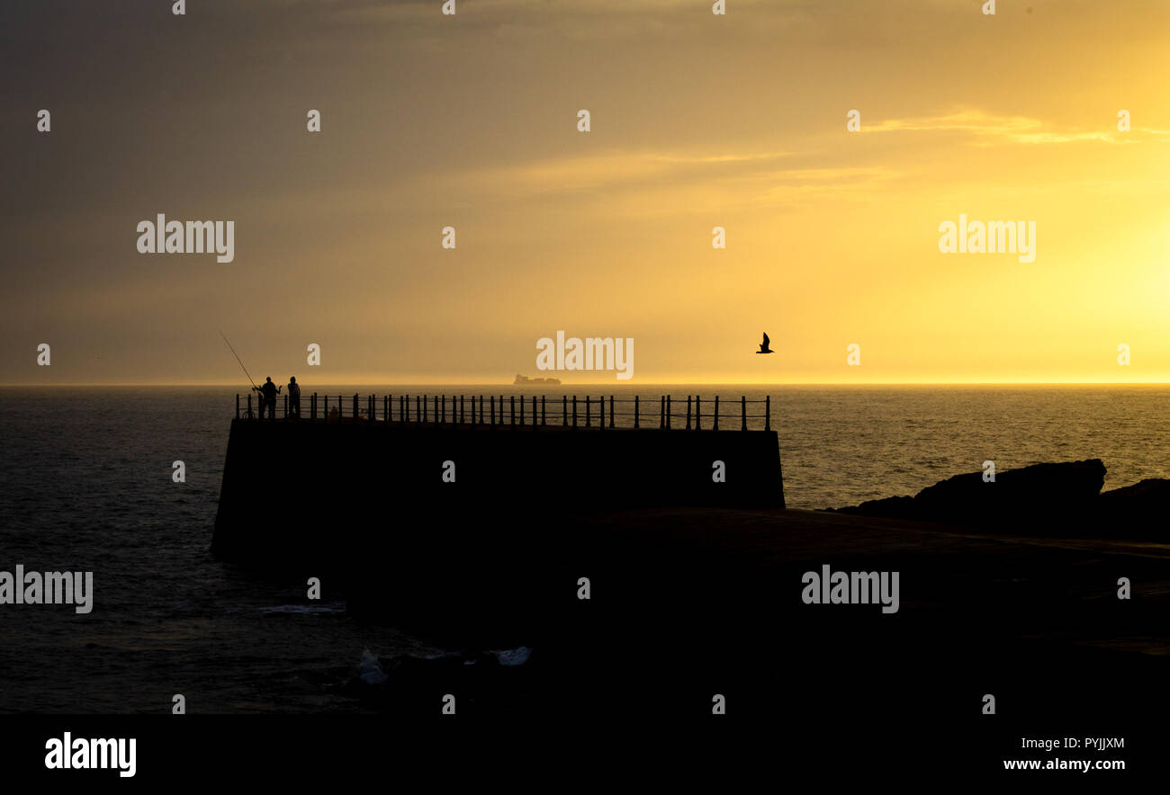 Two fishermen stand on a silhouetted pier at sunset, with a seagull flying by. Stock Photo