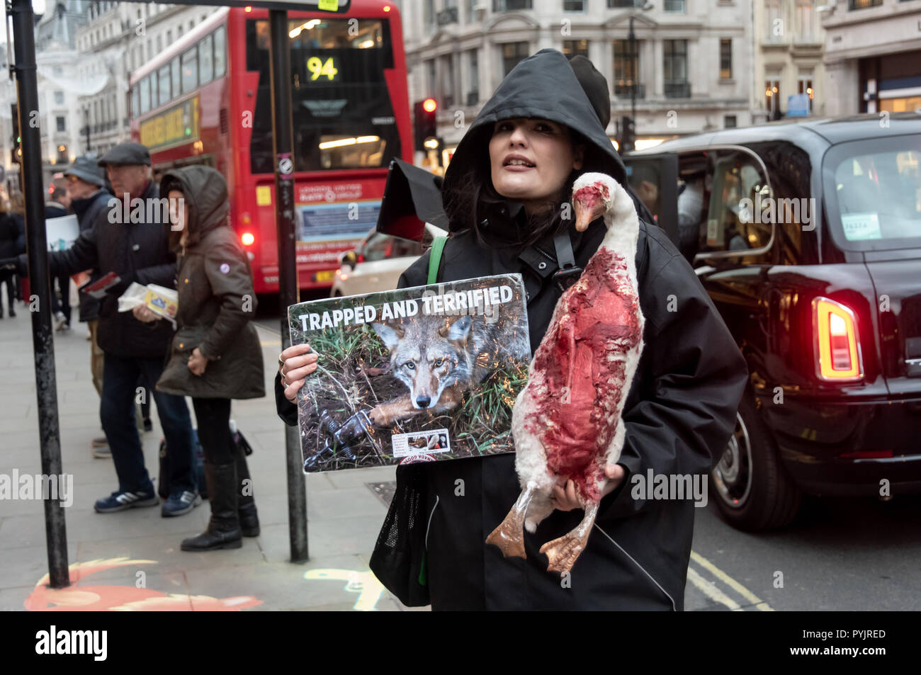 London, UK. 27 October 2018. Campaigners show videos and hand out leaflets  against animal cruelty outside the Regent St London flagship store of Canada  Goose, which campaigners say has cruelty to animals