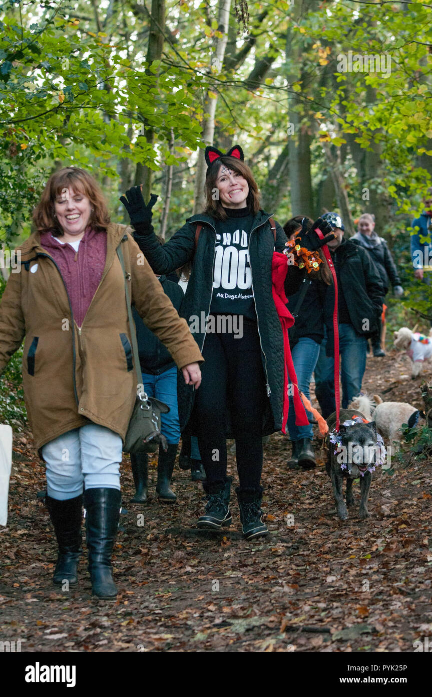 London, UK. 28th Oct, 2018. All Dogs Matter Halloween Dog Walk Hampstead Heath London UK. The event raises funds for their dogs needing homes. Credit: Natasha Balletta/Alamy Live News Stock Photo