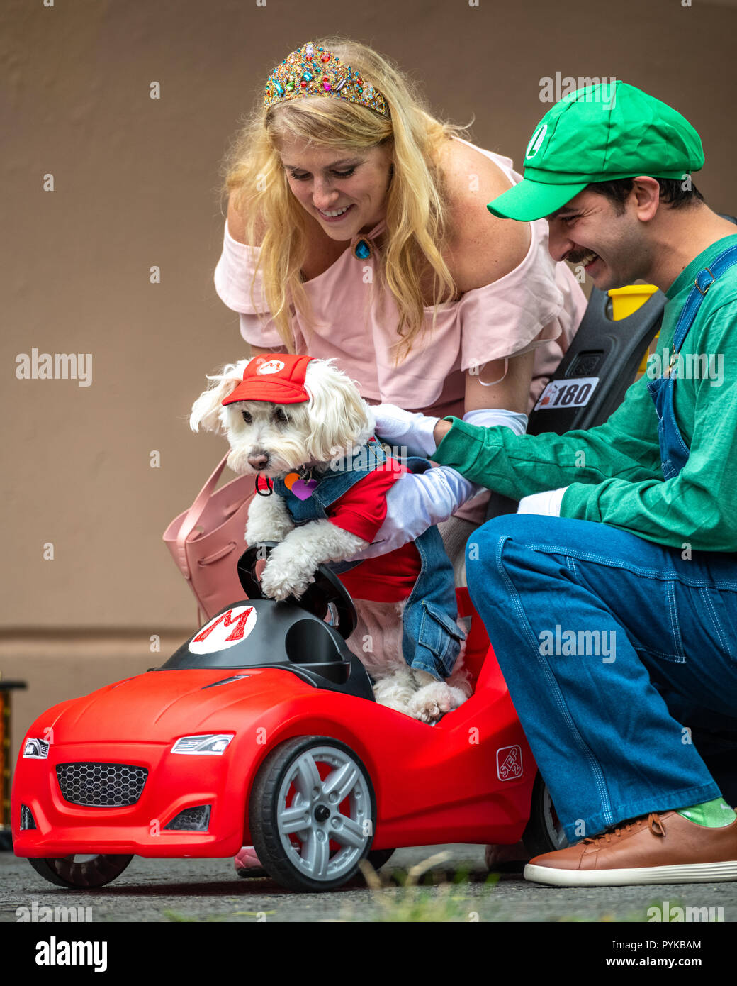 New York, USA,28 October 2018.  A couple help their dog dressed as Super Mario guide its toy car on stage during the 28th Annual Tompkins Square Halloween dog parade in New York city. Credit: Enrique Shore/Alamy Live News Stock Photo