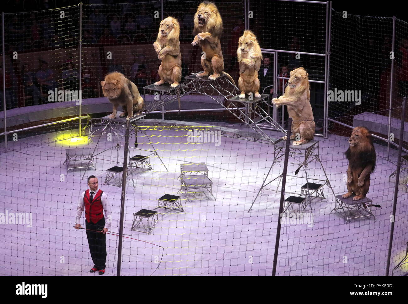 page 2 lion tamer high resolution stock photography and images alamy