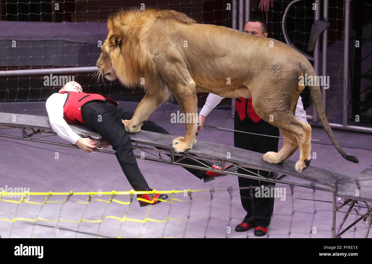 Lion Tamers High Resolution Stock Photography and Images - Alamy