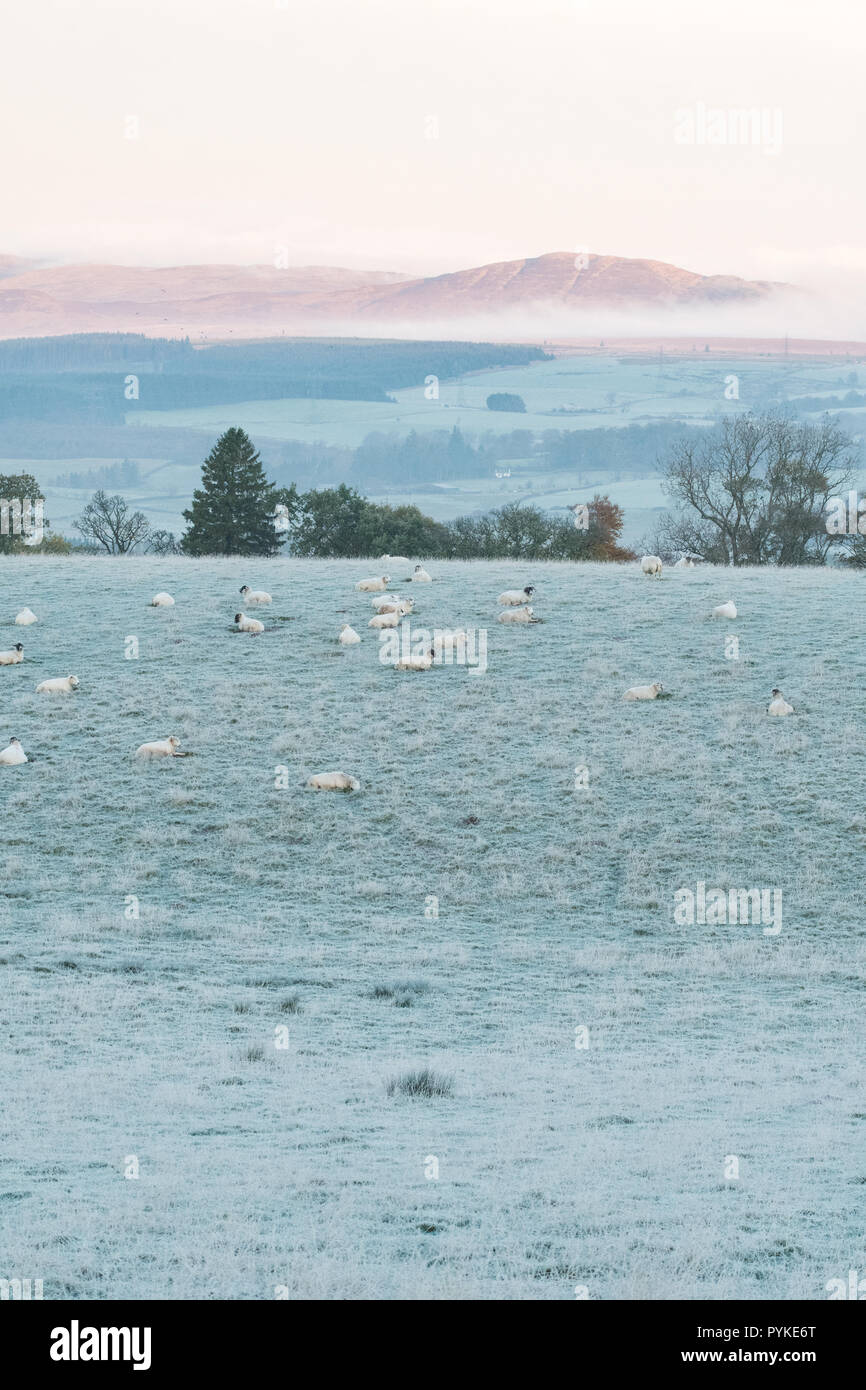 Killearn, Stirlingshire, Scotland, UK. 29th Oct, 2018. uk weather a