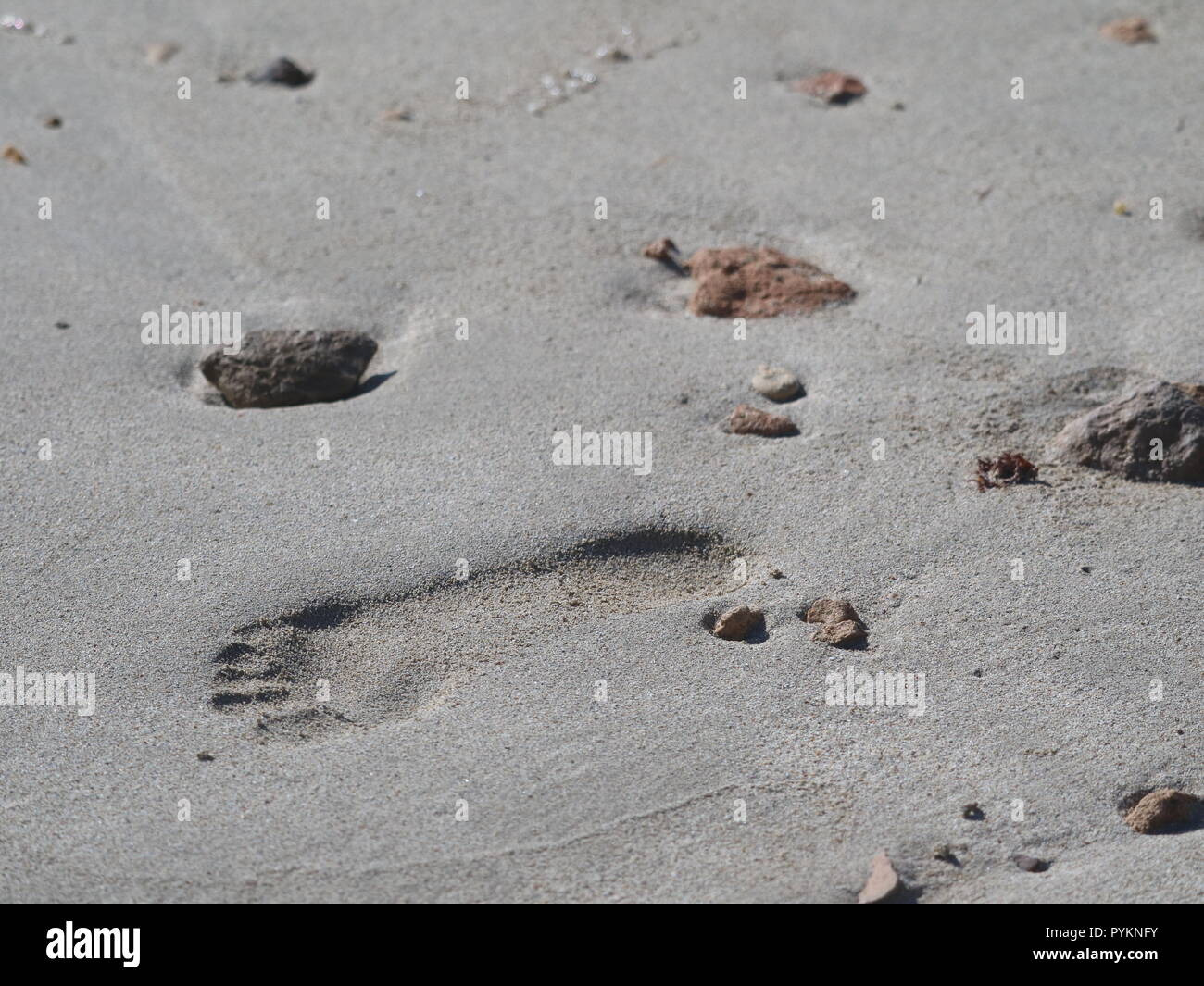 close up of single foot print on the sand with stones an copy space Stock Photo