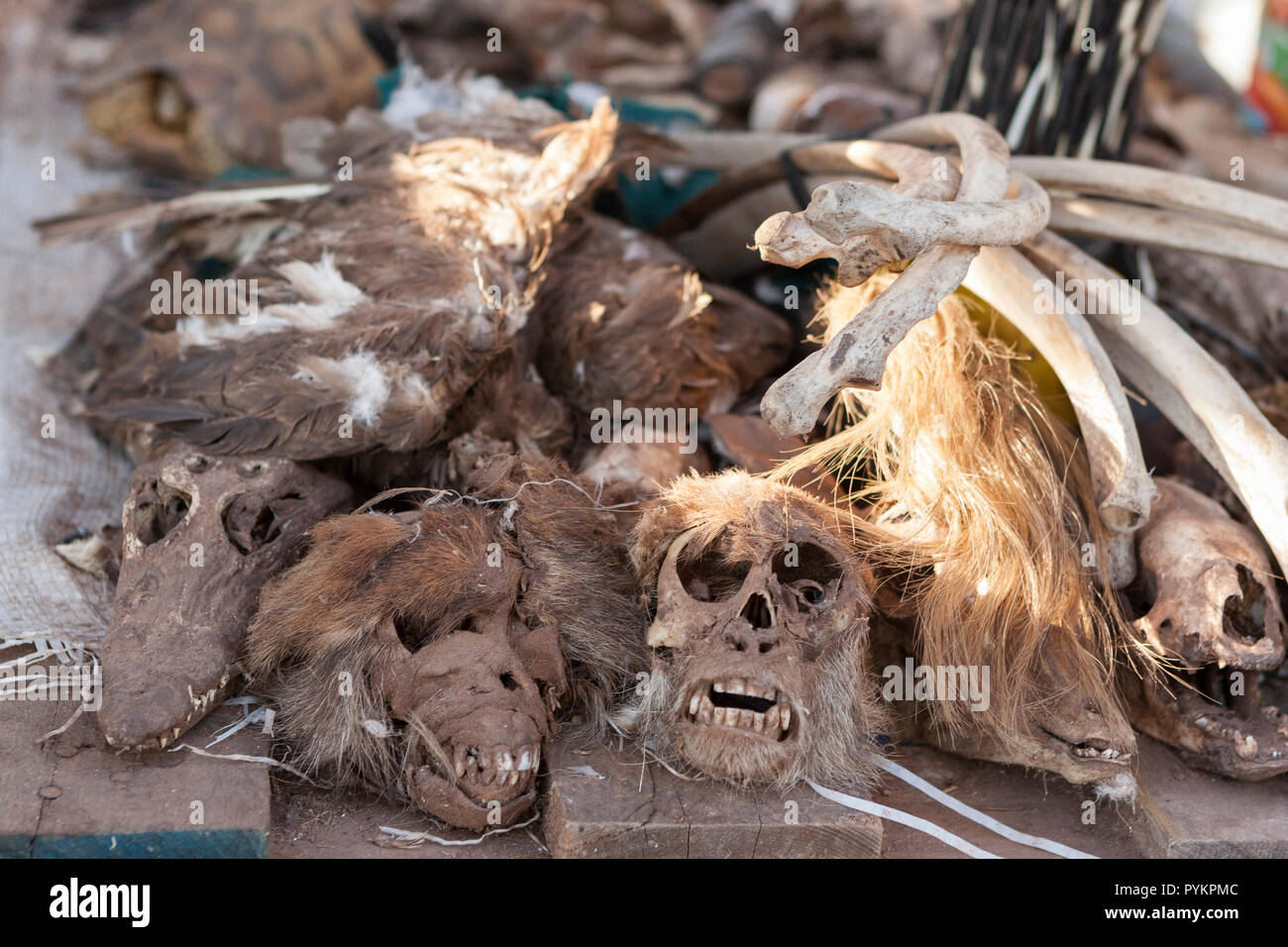 Animal body parts for sale in traditional medicine market in Bamako, Mali Stock Photo