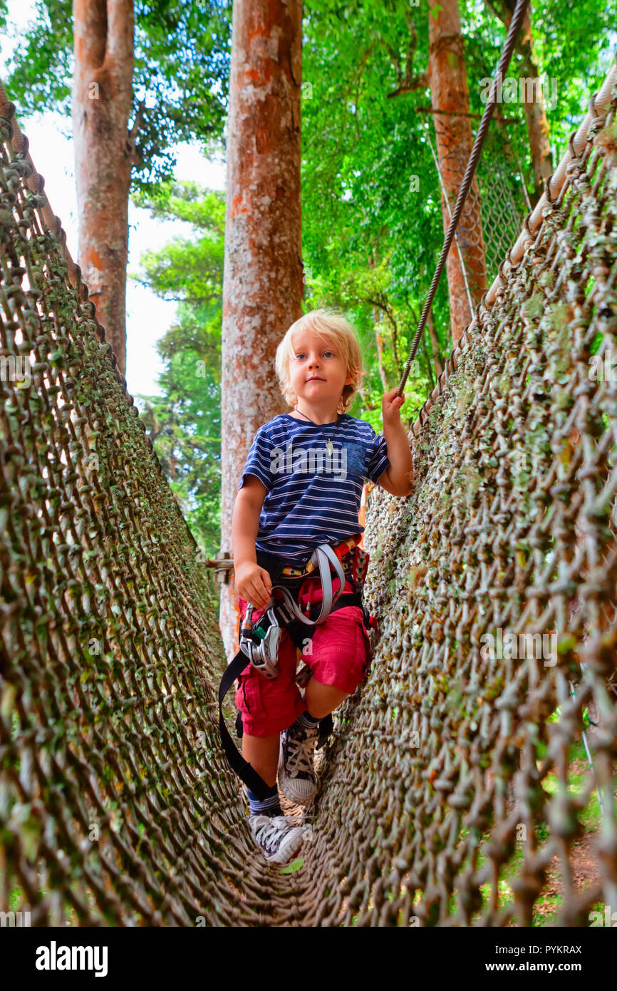 Brave little child in safety harness climb on tree tops route, pass hanging net bridge obstacle in adventure rope park. Outdoor activity Stock Photo