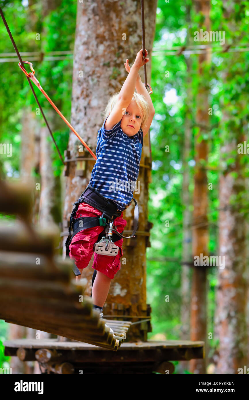 Brave young child in safety harness climb high on tree tops, pass