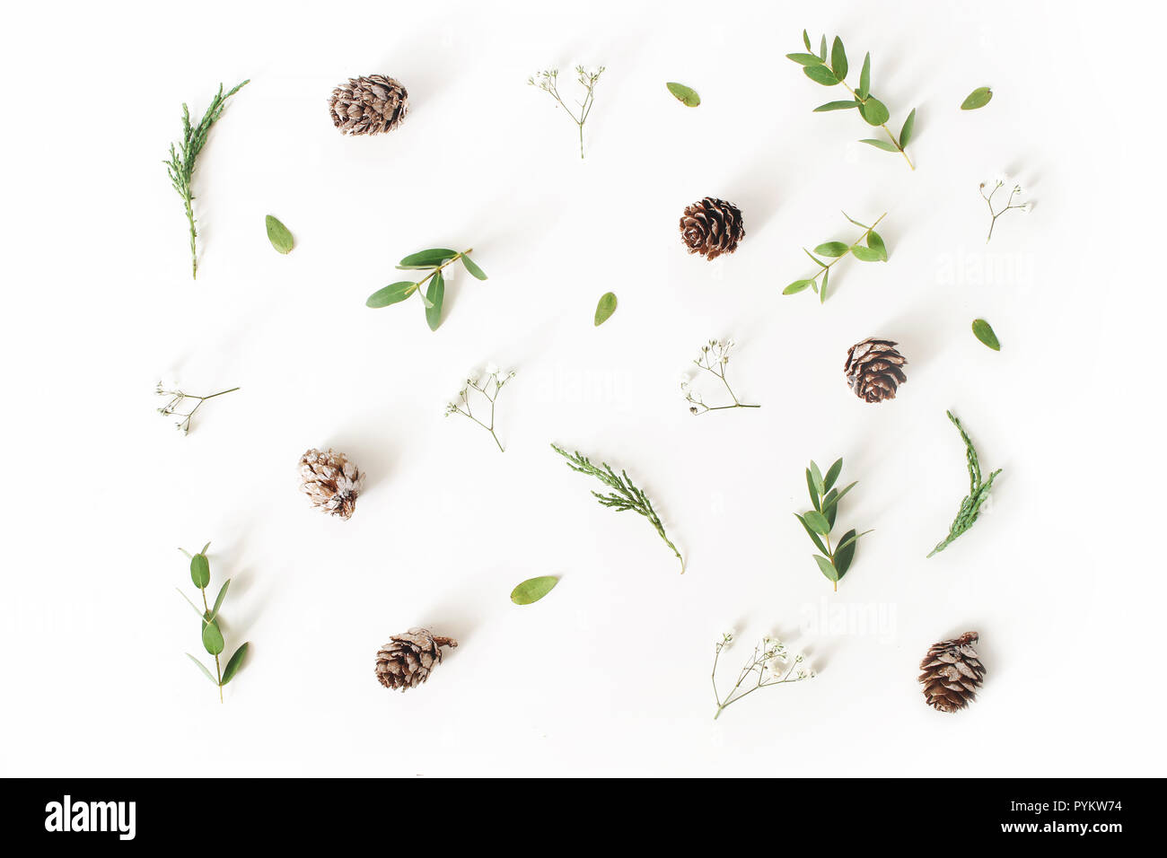 Christmas floral pattern. Winter composition of eucalyptus leaves and branches, larch cones and baby's breath flowers on white table background. Flat lay, top view. Stock Photo