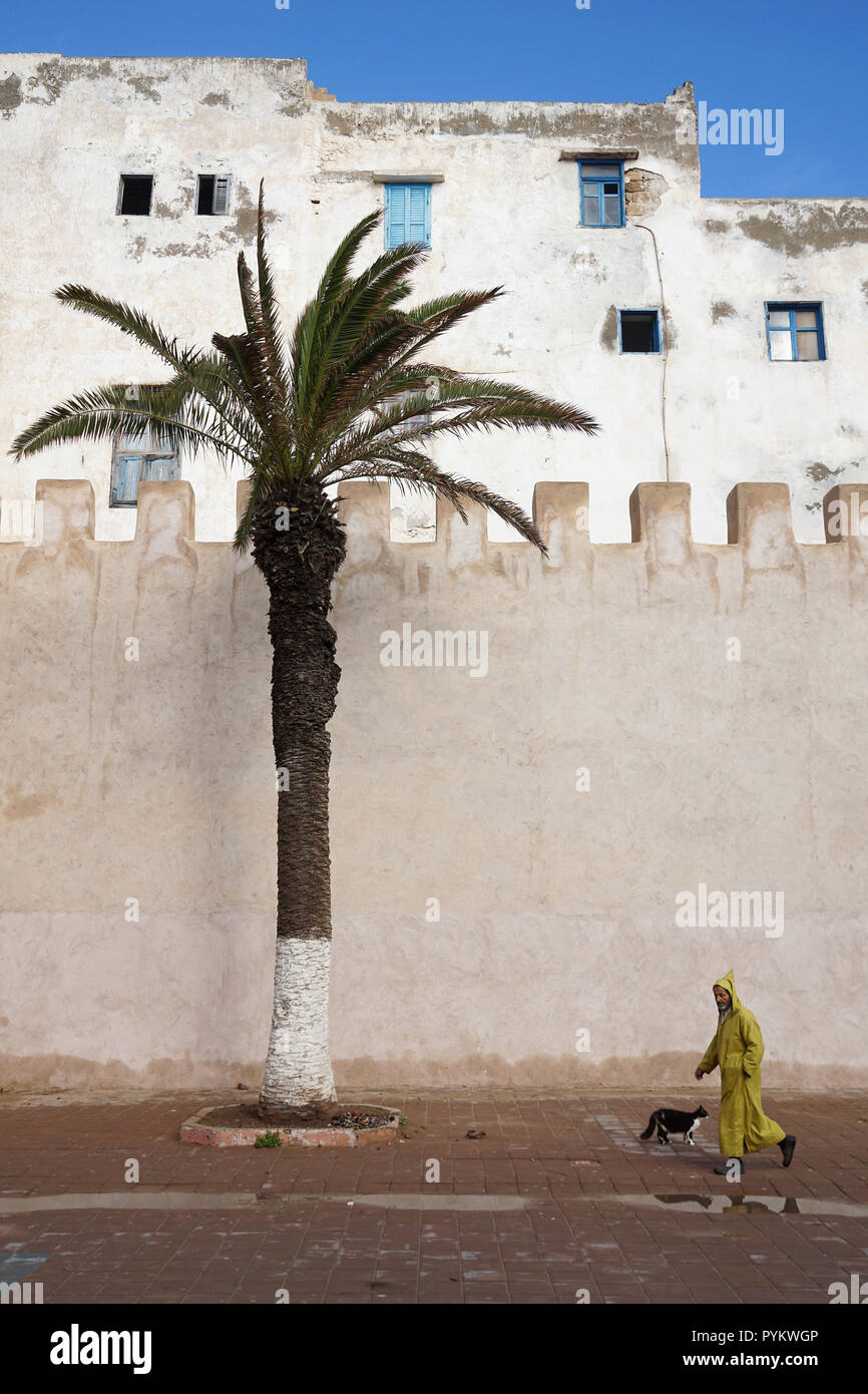 Man in traditional clothes with cat in front of the city wall of Essaouira, Morocco, Africa Stock Photo